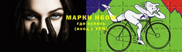 индика Абаза