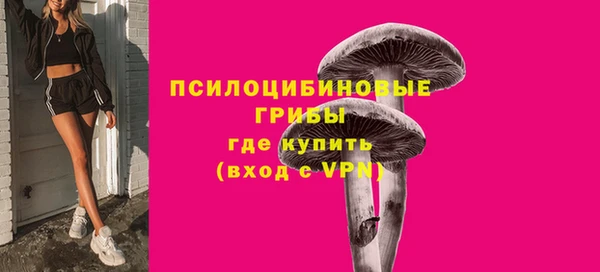 индика Абаза