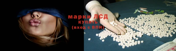 прущие грибы Нефтекумск