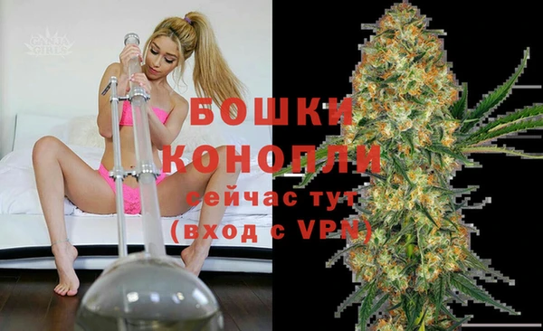 индика Абаза