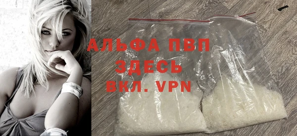 прущие грибы Нефтекумск