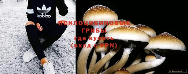 молекула духа Абдулино