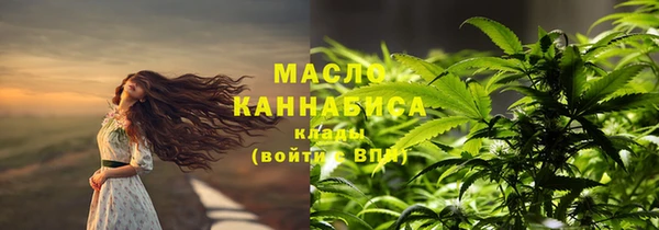 индика Абаза