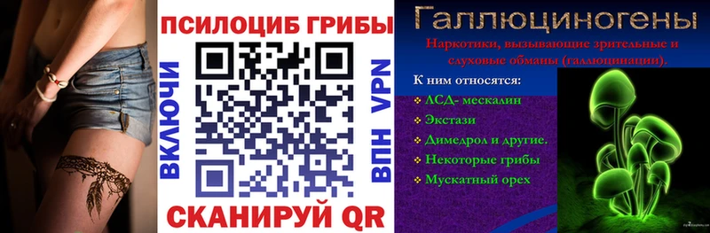 Псилоцибиновые грибы мицелий Мурино